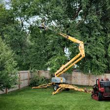 Best Lawn Pest Prevention  in San Leon, TX
