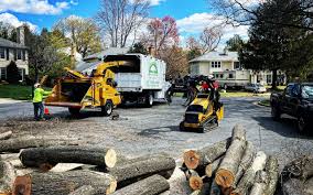 Best Tree Mulching  in San Leon, TX