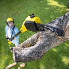 Best Utility Line Clearance  in San Leon, TX