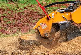 Best Aeration Services  in San Leon, TX